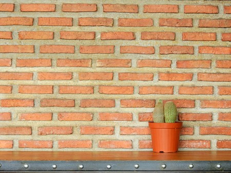 cactus in plastic pot on table with a brick wall backgroundの写真素材