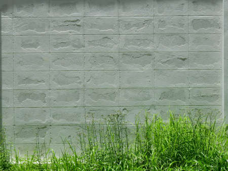 block cement wall with grass
