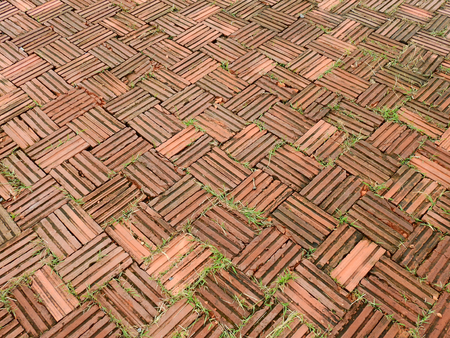 brick pavement floor with green plant textureの写真素材