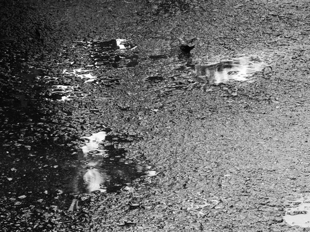 wet asphalt road textureの写真素材