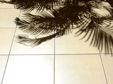 shadow palm leaf on tile floor textureの写真素材
