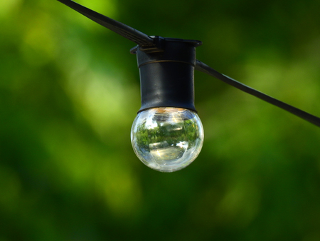 bulb on the wire on green blur backgroundの写真素材