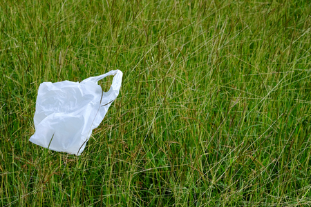 plastic bag on grass in the park