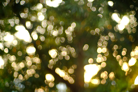 abstract bokeh of sunny in nature, colorful backgroundの写真素材