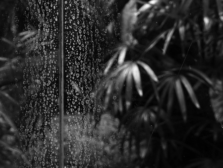 dirty glass of window with dust black and white styleの写真素材