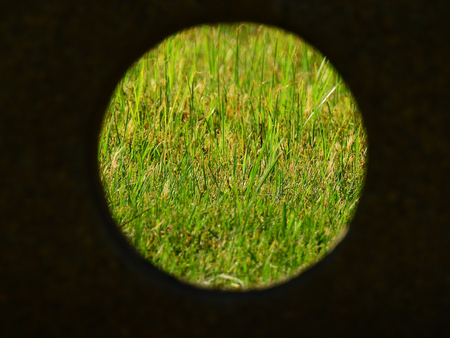 grass lawn in circle on blur black background