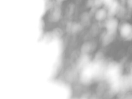 shadow of blur bokeh on white backgroundの写真素材