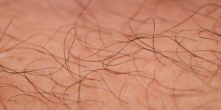 macro man hairy legの写真素材