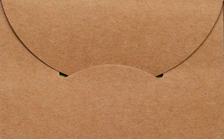 Brown paper bag texture