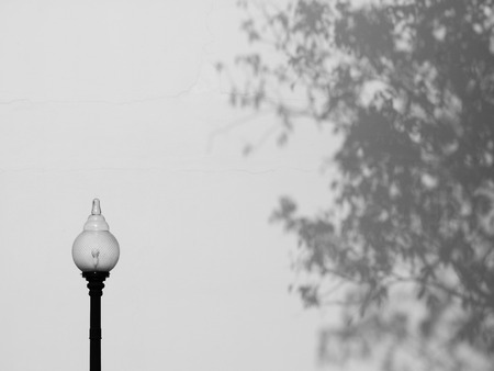 street lamp with shadow leaf of tree on wall black and white styleの写真素材