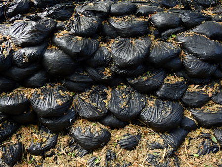 pile of black garbage bagの写真素材