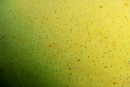 texture of mangoの写真素材