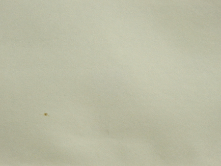 old paper texture backgroundの写真素材