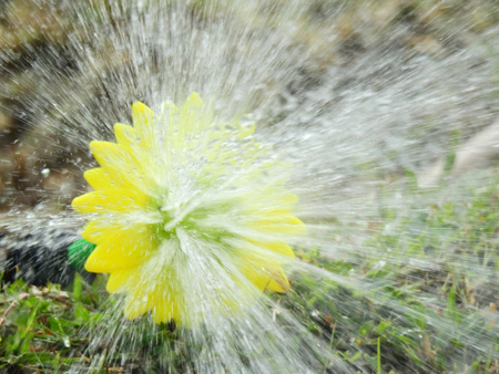 splash water of rubber tubeの写真素材