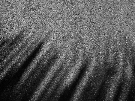 shadow of coconut leaf on asphalt road