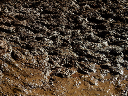wet mud textureの写真素材