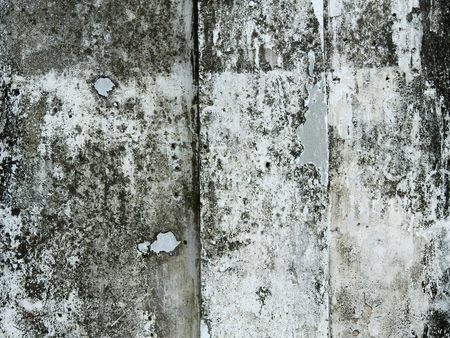 dirty wall with mold textureの写真素材