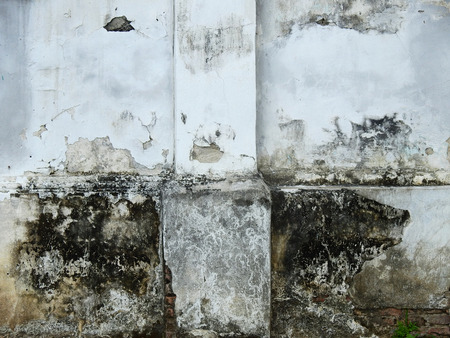 dirty wall with mold textureの写真素材