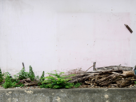 aged street pink wall in abandoned placeの写真素材
