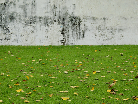 aged street grunge wall with green grass lawnの写真素材