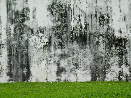 aged street grunge wall with green grass lawnの写真素材