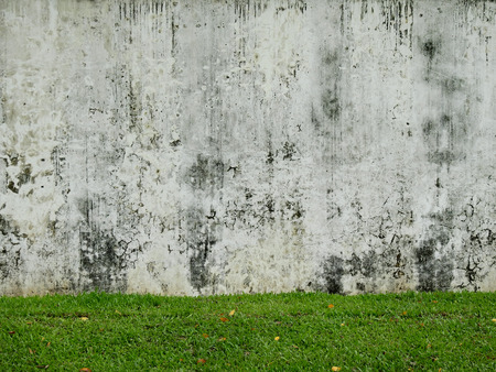 aged street grunge wall with green grass lawnの写真素材