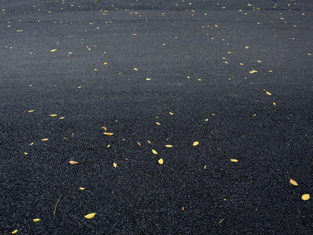 autumn yellow leaf on asphalt roadの写真素材