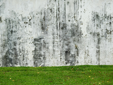 aged street grunge wall with green grass lawnの写真素材