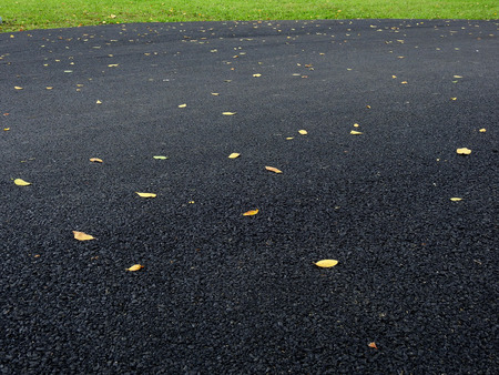 autumn yellow leaf on asphalt roadの写真素材