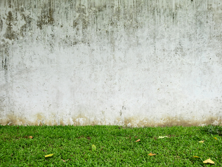 aged street grunge wall with green grass lawnの写真素材
