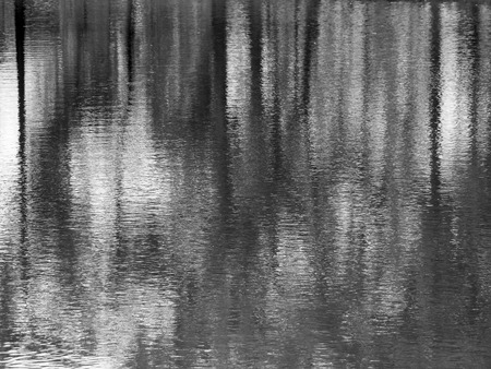 water wave reflection of tree black and white styleの写真素材