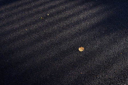 wet asphalt road with brown autumn leafの写真素材