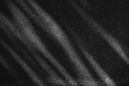 abstract shadow leaves on stone wall black and white styleの写真素材