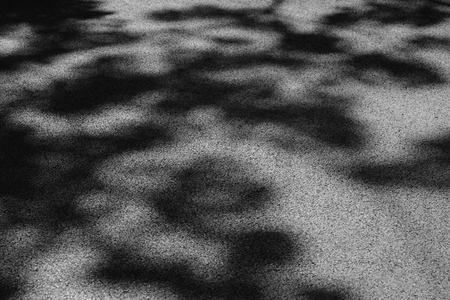 black and white shadow of tree on asphalt roadの写真素材