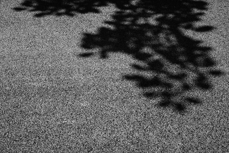 black and white shadow of tree on asphalt roadの写真素材