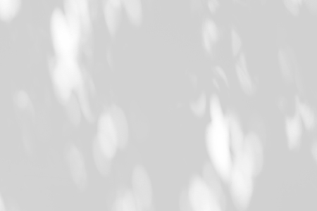 shadow of the leaves on a white wall with bokehの写真素材