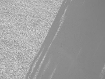 shadow palm leaves on white wall