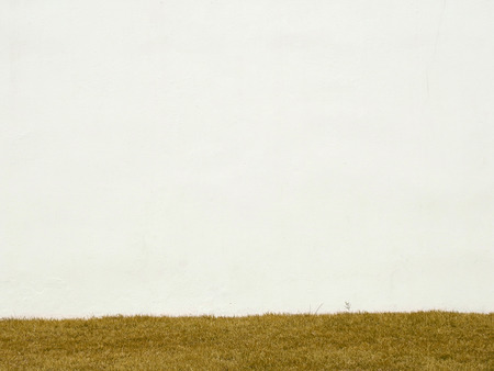 dry brown grass lawn with white wall background