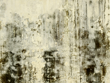 aged street dirty wall with mold textureの写真素材