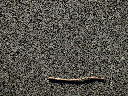 dry branch on asphalt roadの写真素材