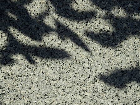 shadow leaf on granite texture