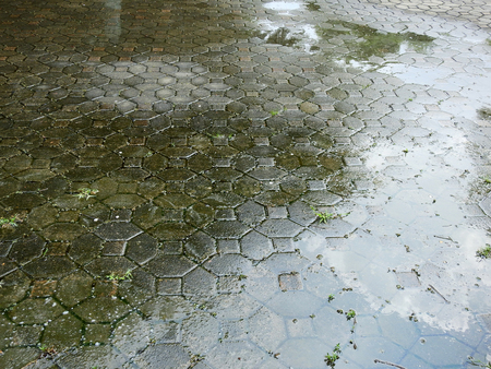 abandoned wet floor at after rainの写真素材
