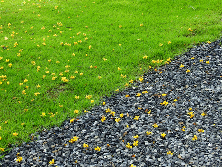 stone floor and green grass lawn with yellow flowerの写真素材