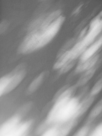 abstract shadow on white wall backgroundの写真素材