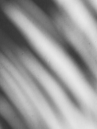shadow of palm leaves on white backgroundの写真素材