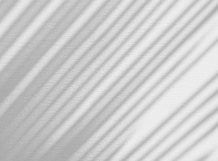 abstract shadow of palm leaves on white concrete wallの写真素材