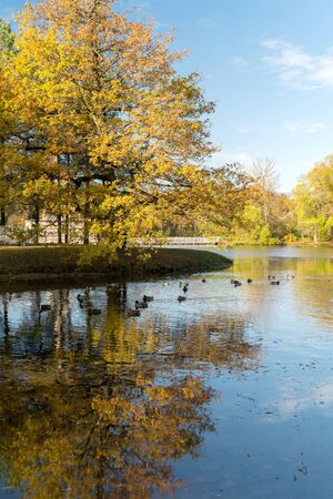 In the Catherine Park of the Museum-reserve Tsarskoye Selo in Russiaのeditorial素材
