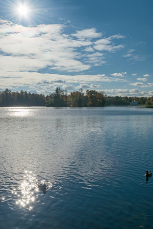 In the Catherine Park of the Museum-reserve Tsarskoye Selo in Russiaのeditorial素材
