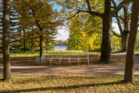 The bench in the Catherine Park of Tsarskoye Selo in Pushkin, Russiaの写真素材