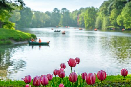 Summer water landscape on the background of tulips